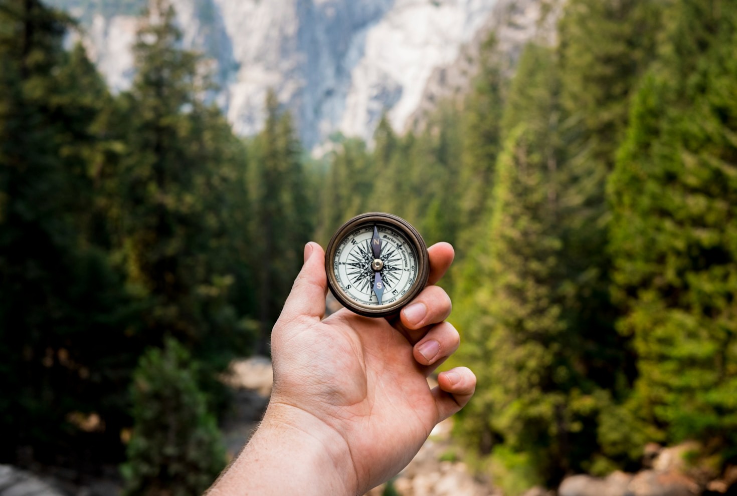 Navigating Life Transitions with Energetic Guidance